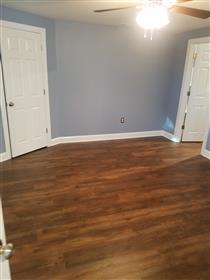 Room 2 in basement: 